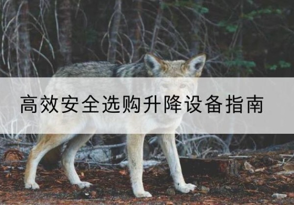 栖霞升降货梯厂家推荐-*安全选购升降设备指南