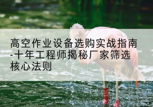 栖霞剪叉式升降机厂家-高空作业设备选购实战指南-十年工程师揭秘厂家筛选核心法则